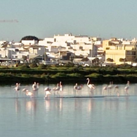 فندق Casa Do Livramento لوز دي تافيرا المظهر الخارجي الصورة